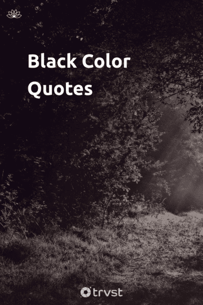 66 Black Color Quotes Reflecting on Dark Nights and Muted Tones