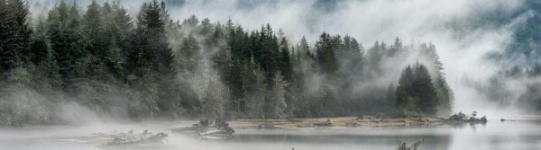 Fog Quotes