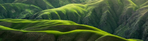 Green Color Quotes