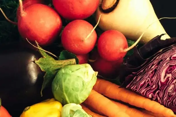 #TRVSTLOVES Nutrition Apps and Beyond