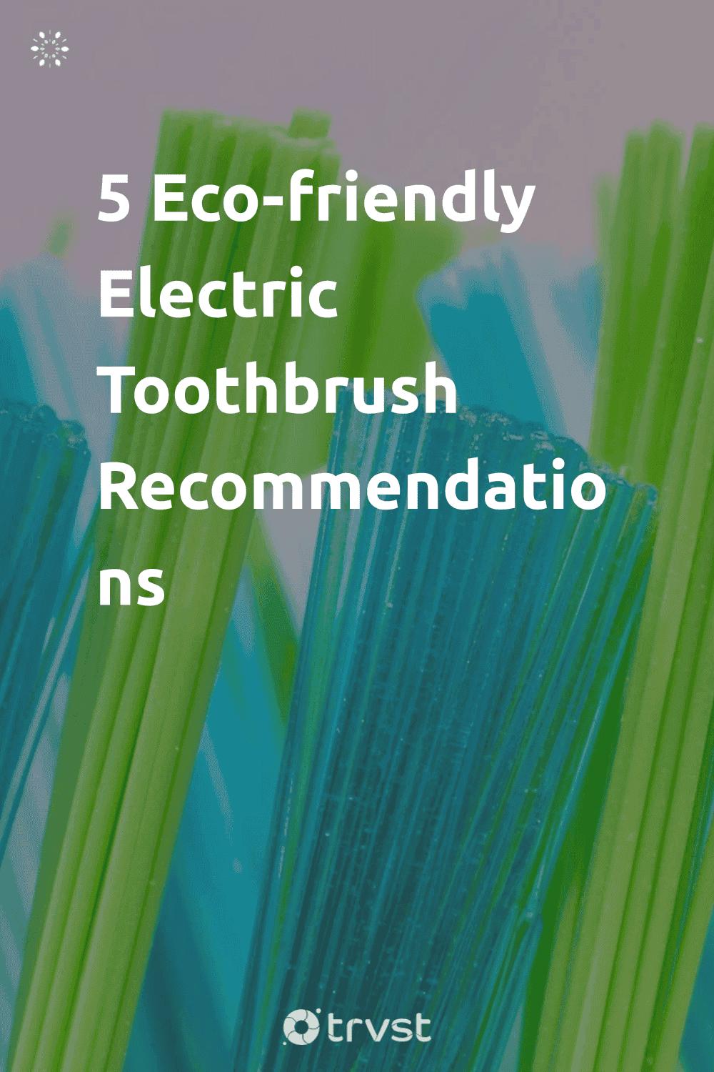 Pinterest Image for 5 Eco-friendly Electric Toothbrush Recommendations