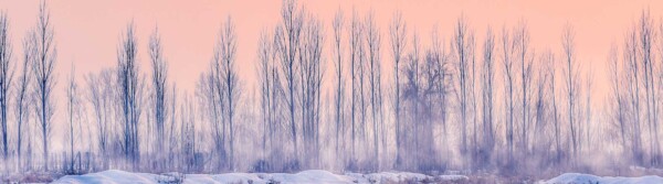 Pink Quotes