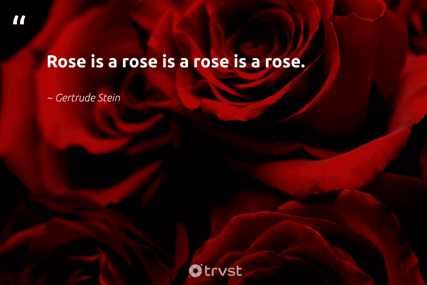 52 Inspiring Rose Quotes