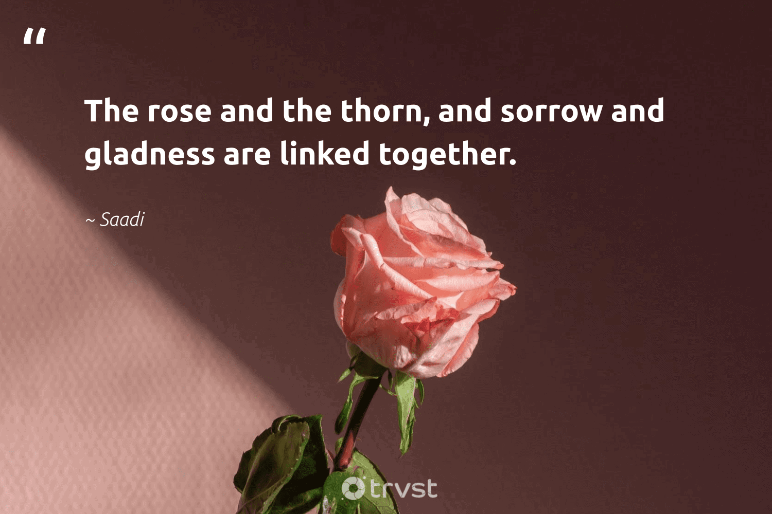 every rose has a thorn meaning