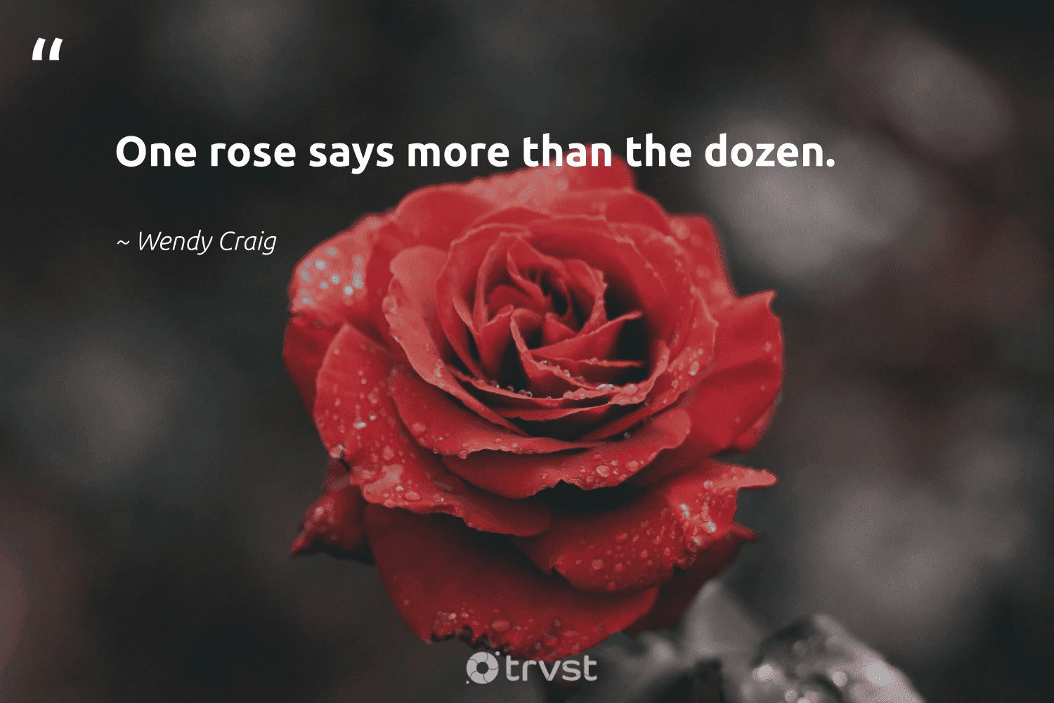 78 Rose Quotes About Natural Beauty, Love and Thorns