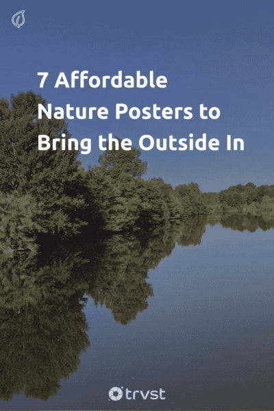 Pin Image Portrait 7 Affordable Nature Posters to Bring the Outside In