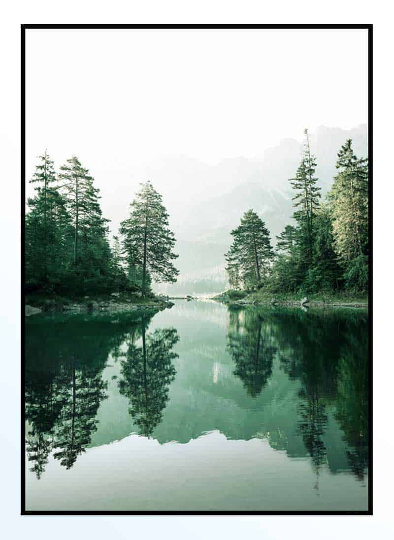 Foggy Forest Reflection Poster 