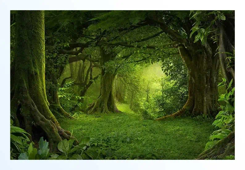 Magical Green Forest Nature Poster