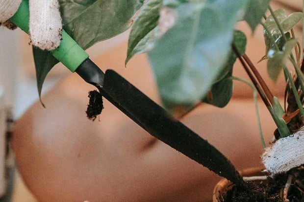 Urban Composting and Compost Bins for Apartments and City Living