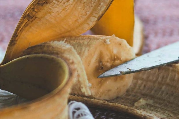 Can You Compost Banana Peels?