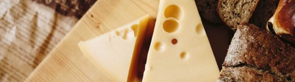 Can you compost cheese