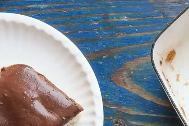 Can You Recycle Paper Plates? Are The Compostable?