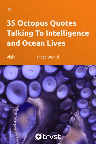 Pinterest Image for 35 Octopus Quotes Talking To Intelligence and Ocean Lives