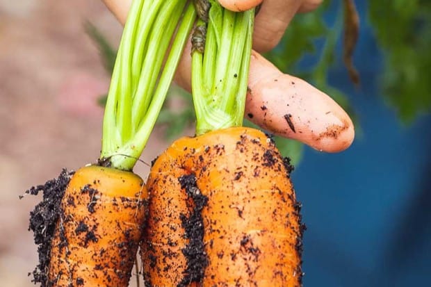 10 Sustainable Living Skills For Eco-Friendly Lifestyles