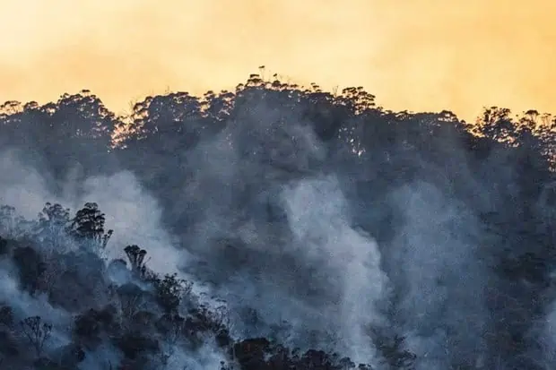 #TRVSTLOVES Education On The Climate Crisis