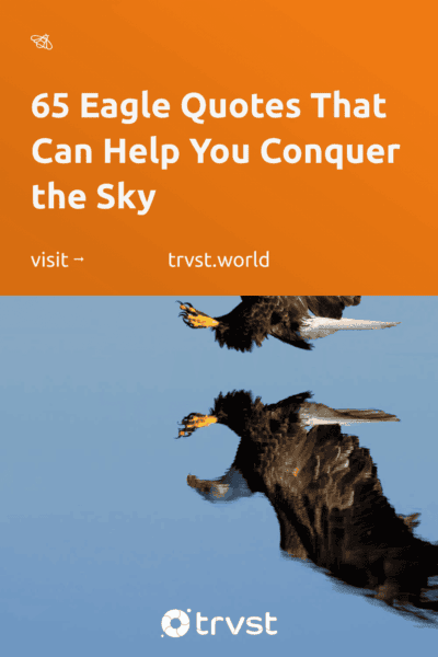 Pinterest Image for 65 Eagle Quotes That Can Help You Conquer the Sky