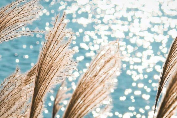 5 Sun Safety Tips To Stay Protected Outdoors