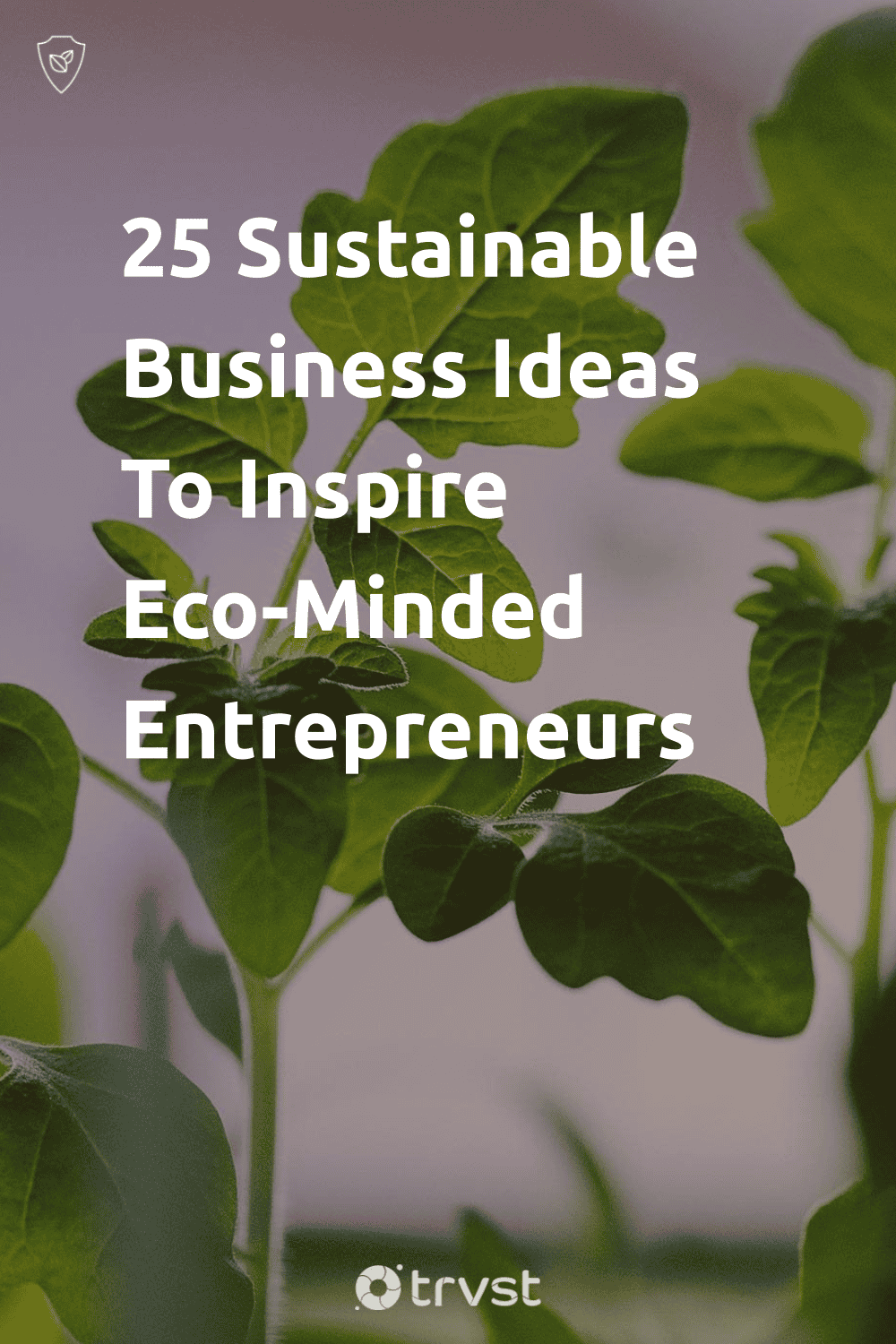 Pinterest Image for 25 Sustainable Business Ideas To Inspire Eco-Minded Entrepreneurs