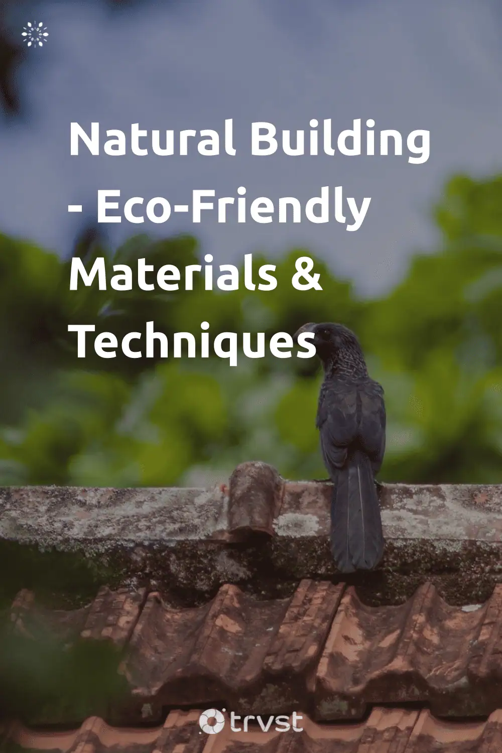Pinterest Image for Natural Building - Eco-Friendly Materials & Techniques