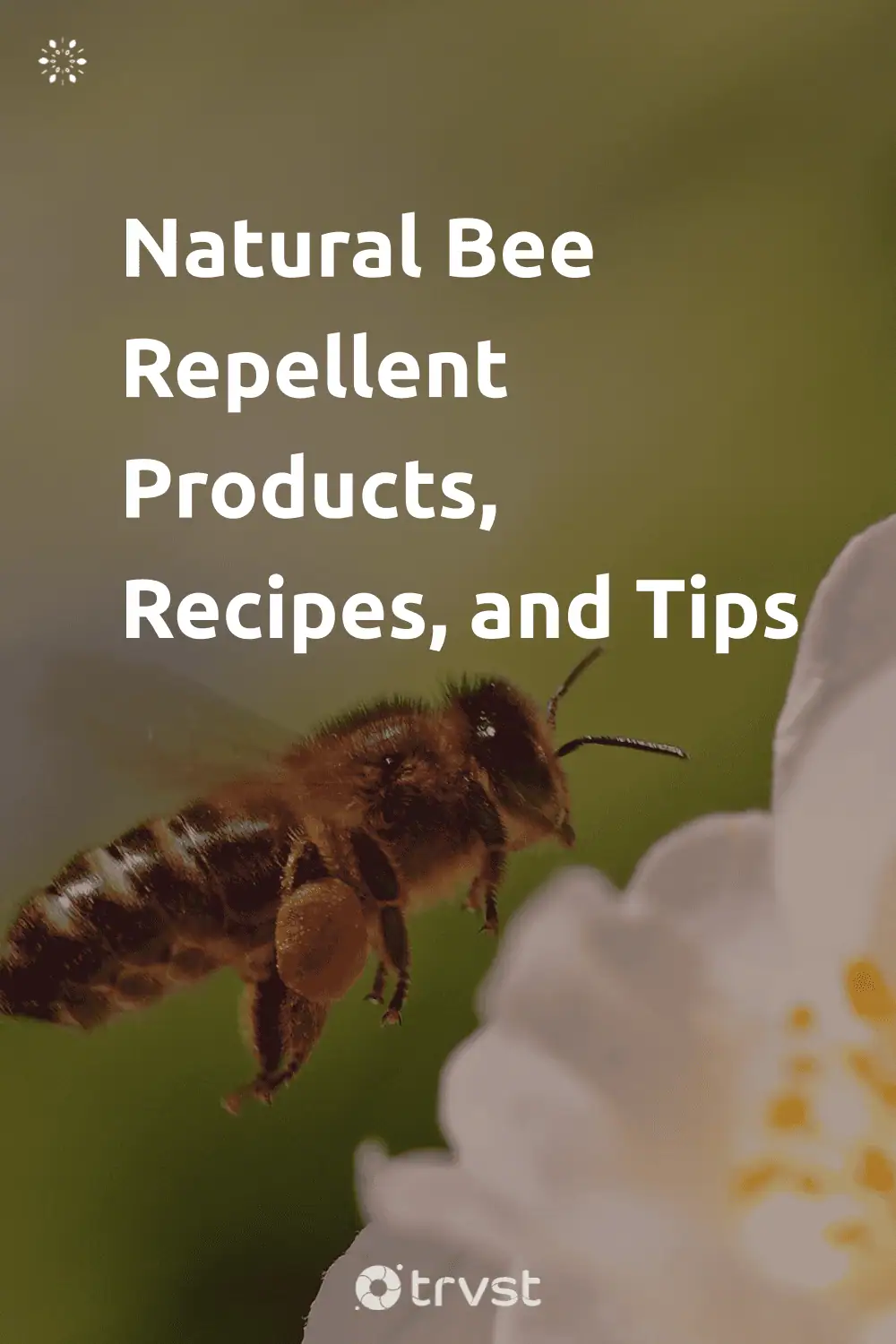 Pinterest Image for Natural Bee Repellent Products, Recipes, and Tips