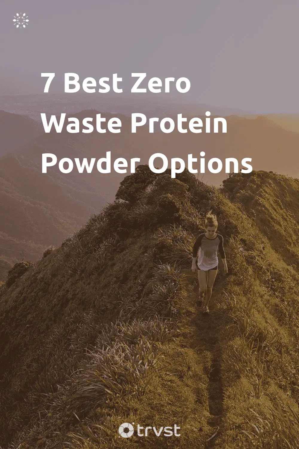 Pinterest Image for 7 Best Zero Waste Protein Powder Options