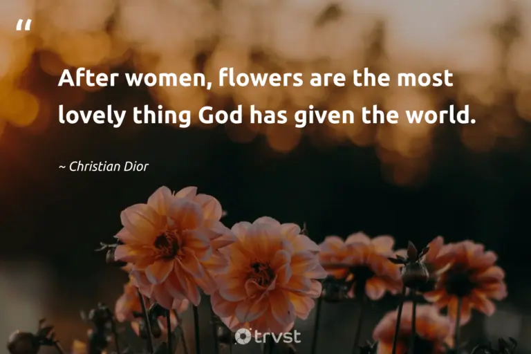 "After women, flowers are the most lovely thing God has given the world." -Christian Dior #trvst #quotes #impact #planetearthfirst #blossom #flowers #flowerphotography #world #garden 