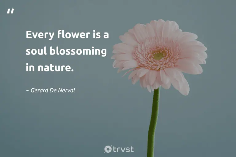 "Every flower is a soul blossoming in nature." -Gerard De Nerval #trvst #quotes #beinspired #takeaction #garden #flower #blossom #nature #flower 