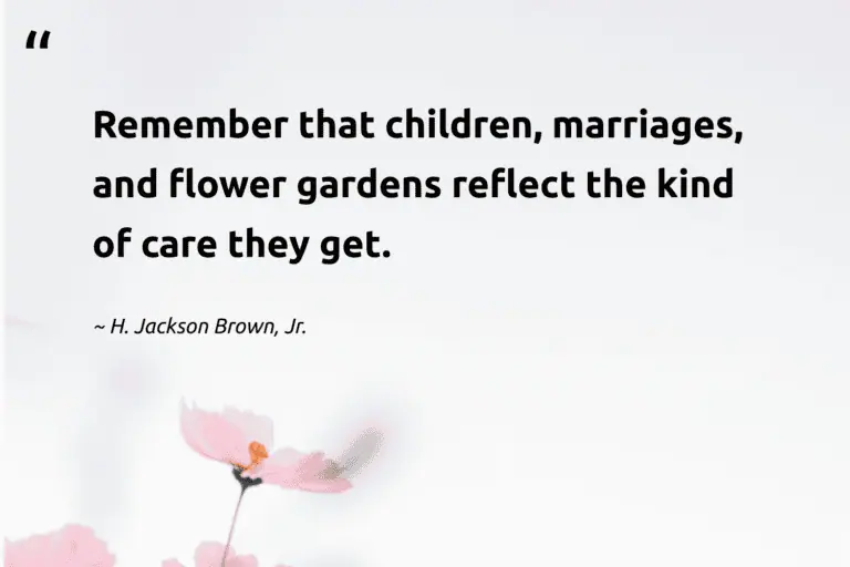 "Remember that children, marriages, and flower gardens reflect the kind of care they get." -H. Jackson Brown, Jr. #trvst #quotes #gogreen #changetheworld #bloom #flower #garden #blossom #flowerphotography 