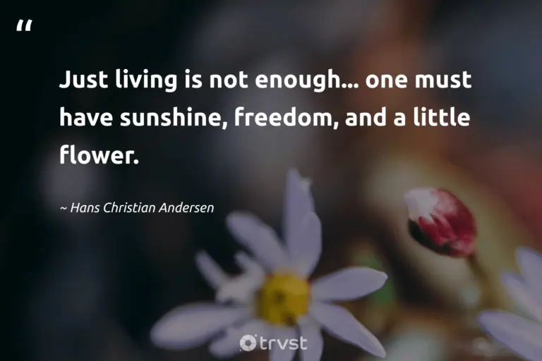 "Just living is not enough... one must have sunshine, freedom, and a little flower." -Hans Christian Andersen #trvst #quotes #dogood #bethechange #flowerphotography #flower #bloom #freedom #garden 