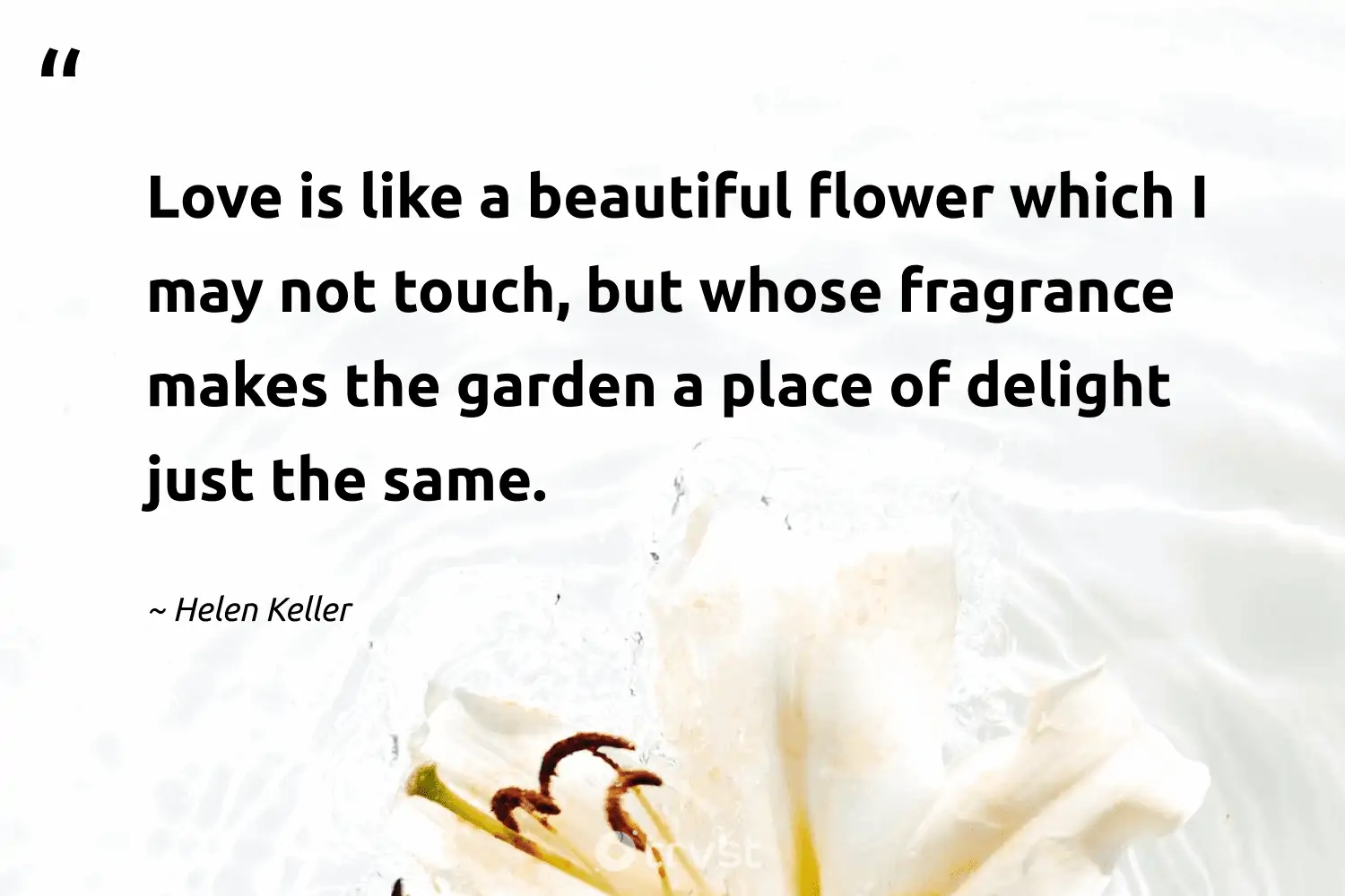 Thoughtful Flower Quotes And Sayings