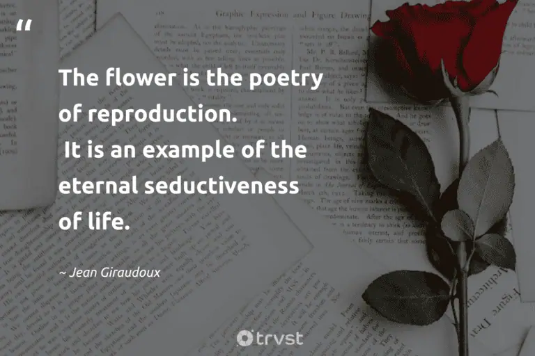 "The flower is the poetry of reproduction. It is an example of the eternal seductiveness of life." -Jean Giraudoux #trvst #quotes #socialimpact #gogreen #flower #life #colorful #flower #bloom 