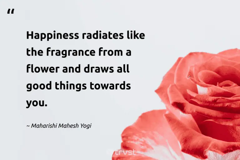 "Happiness radiates like the fragrance from a flower and draws all good things towards you." -Maharishi Mahesh Yogi #trvst #quotes #gogreen #bethechange #blossom #flower #beauty #flower #flowerphotography 