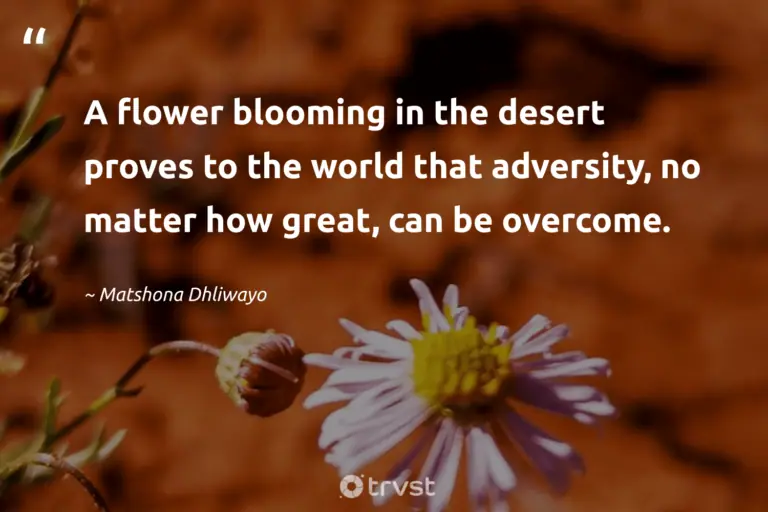 "A flower blooming in the desert proves to the world that adversity, no matter how great, can be overcome." -Matshona Dhliwayo #trvst #quotes #thinkgreen #socialimpact #flowerphotography #flower #beauty #world #garden 