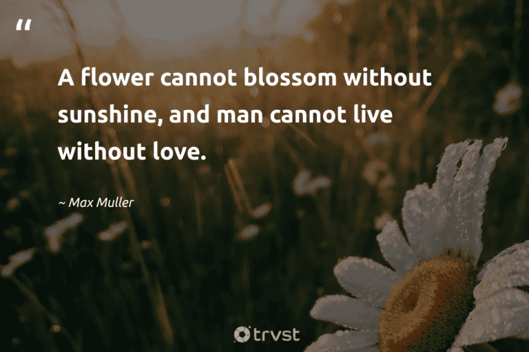 "A flower cannot blossom without sunshine, and man cannot live without love." -Max Muller #trvst #quotes #dogood #ecoconscious #colorful #love #blossom #flower #flower 