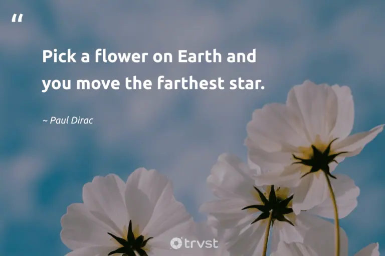 "Pick a flower on Earth and you move the farthest star." -Paul Dirac #trvst #quotes #thinkgreen #socialimpact #flowerphotography #flower #colorful #blossom #beauty 