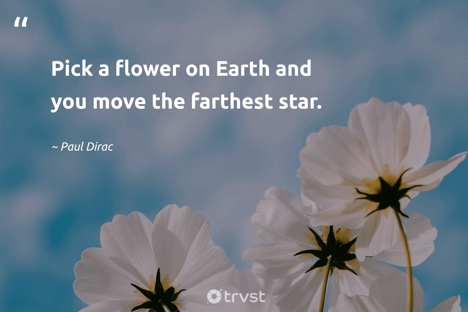106 Thoughtful Flower Quotes, Sayings, And Captions