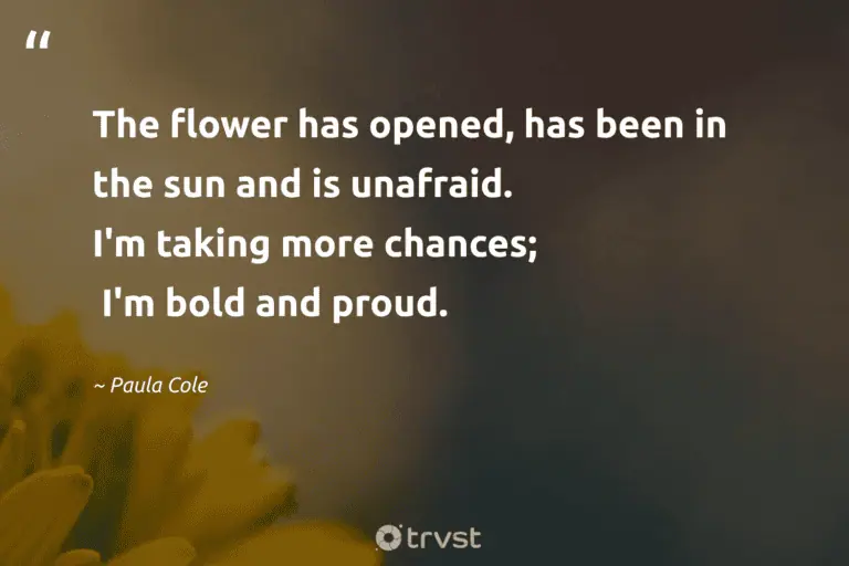 "The flower has opened, has been in the sun and is unafraid. I'm taking more chances; I'm bold and proud." -Paula Cole #trvst #quotes #socialimpact #dogood #colorful #bold #flower #sun #beauty 