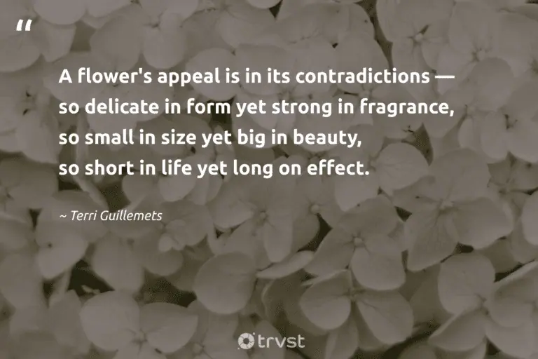 "A flower's appeal is in its contradictions — so delicate in form yet strong in fragrance, so small in size yet big in beauty, so short in life yet long on effect." -Terri Guillemets #trvst #quotes #dogood #bethechange #bloom #flowers #flower #life #blossom 