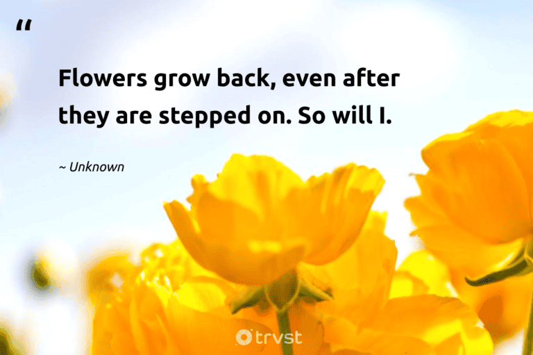 "Flowers grow back, even after they are stepped on. So will I." -Unknown #trvst #quotes #bethechange #beinspired #blossom #beauty #garden #colorful #flowerphotography 