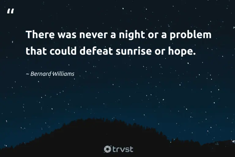 "There was never a night or a problem that could defeat sunrise or hope." -Bernard Williams #trvst #quotes #changetheworld #planetearthfirst #peace #sunrise #dark #sleep #rest 