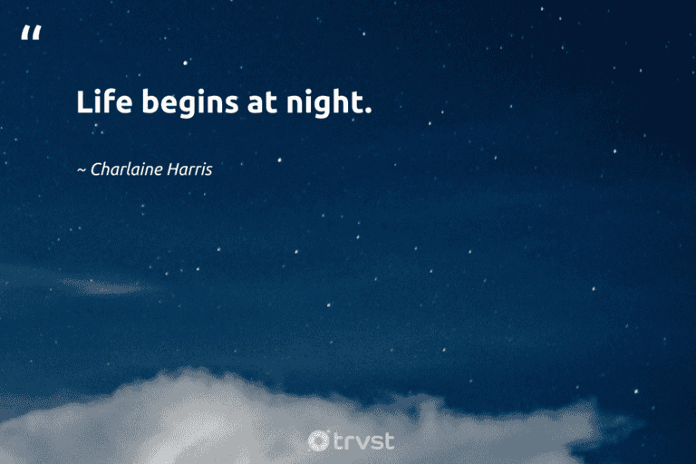 "Life begins at night." -Charlaine Harris #trvst #quotes #socialchange #impact #silence #dark #dream #rest #sleep 