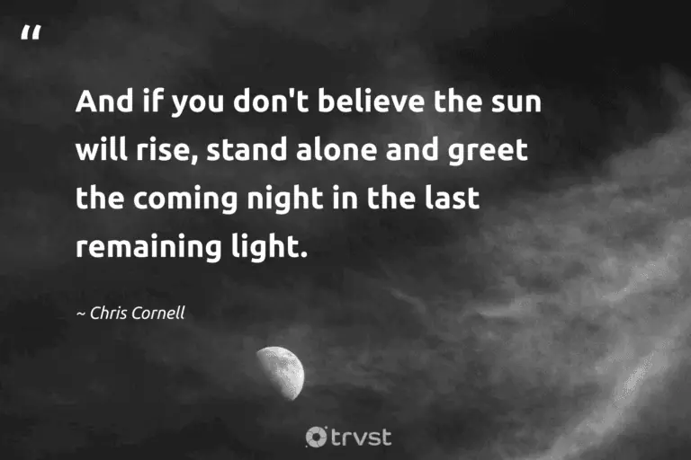 "And if you don't believe the sun will rise, stand alone and greet the coming night in the last remaining light." -Chris Cornell #trvst #quotes #gogreen #planetearthfirst #night #sun #peace #light #silence 