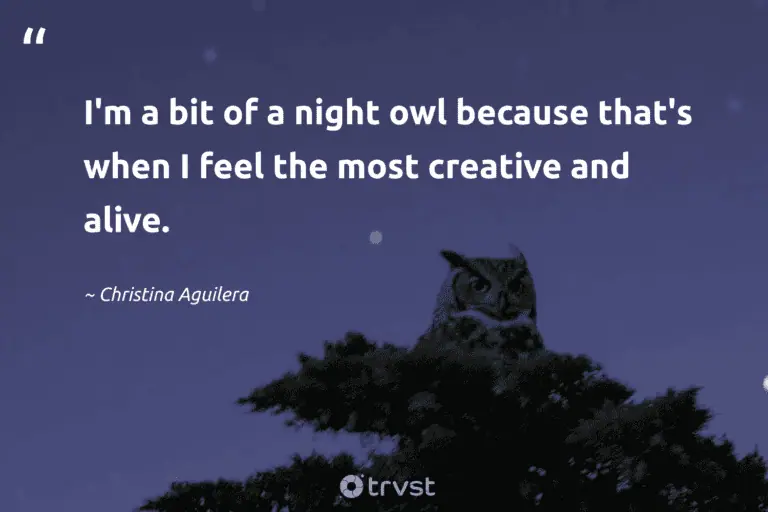 "I'm a bit of a night owl because that's when I feel the most creative and alive." -Christina Aguilera #trvst #quotes #ecoconscious #gogreen #night #creative #rest #silence #sleep 
