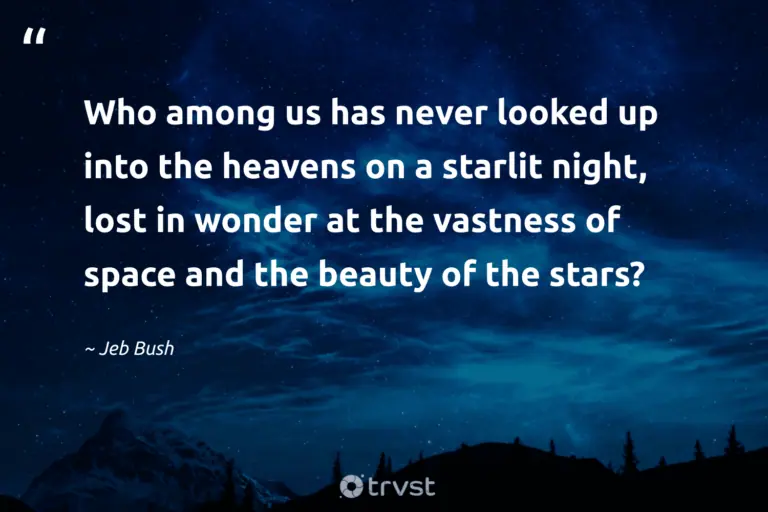 "Who among us has never looked up into the heavens on a starlit night, lost in wonder at the vastness of space and the beauty of the stars?" -Jeb Bush #trvst #quotes #bethechange #changetheworld #meditate #beauty #night #space #rest 