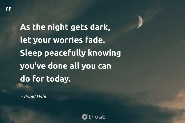 "As the night gets dark, let your worries fade. Sleep peacefully knowing you've done all you can do for today." -Roald Dahl #trvst #quotes #impact #ecoconscious #dark #dream #peace #sleep #silence 