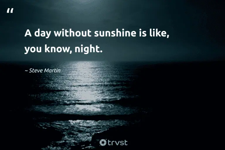 "A day without sunshine is like, you know, night." -Steve Martin #trvst #quotes #dogood #bethechange #dream #peace #rest #night #silence 