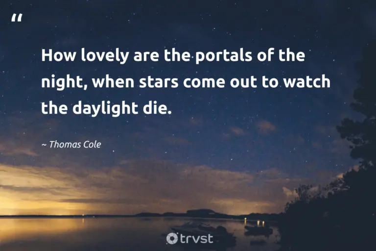 "How lovely are the portals of the night, when stars come out to watch the daylight die." -Thomas Cole #trvst #quotes #socialimpact #socialchange #rest #silence #meditate #peace #dark 