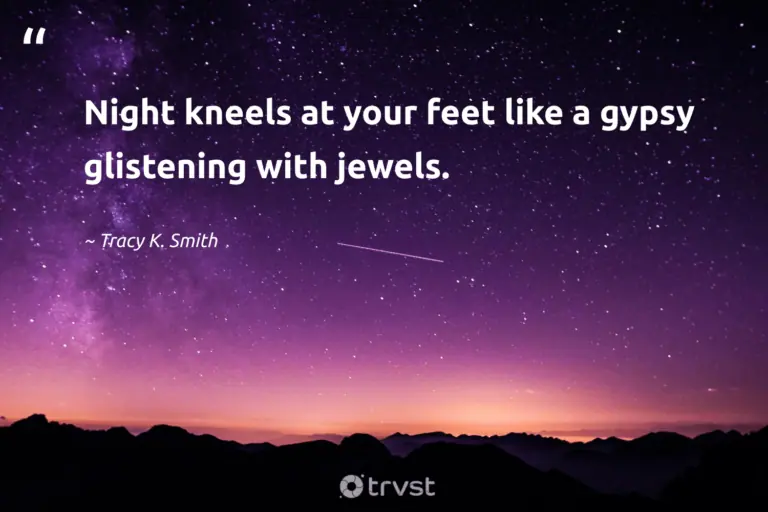 "Night kneels at your feet like a gypsy glistening with jewels." -Tracy K. Smith #trvst #quotes #collectiveaction #dogood #dream #sleep #dark #rest #night 