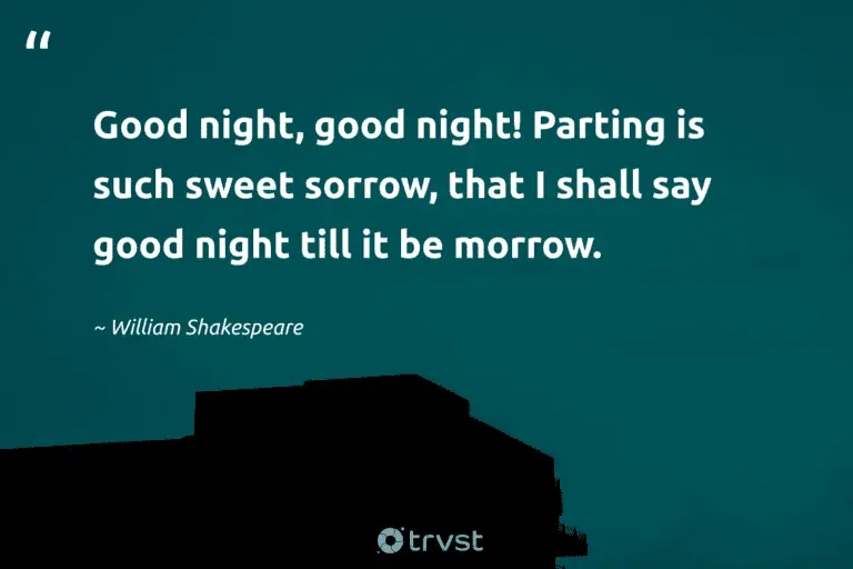 "Good night, good night! Parting is such sweet sorrow, that I shall say good night till it be morrow." -William Shakespeare #trvst #quotes #dogood #bethechange #dream #sorrow #silence #sleep #night 