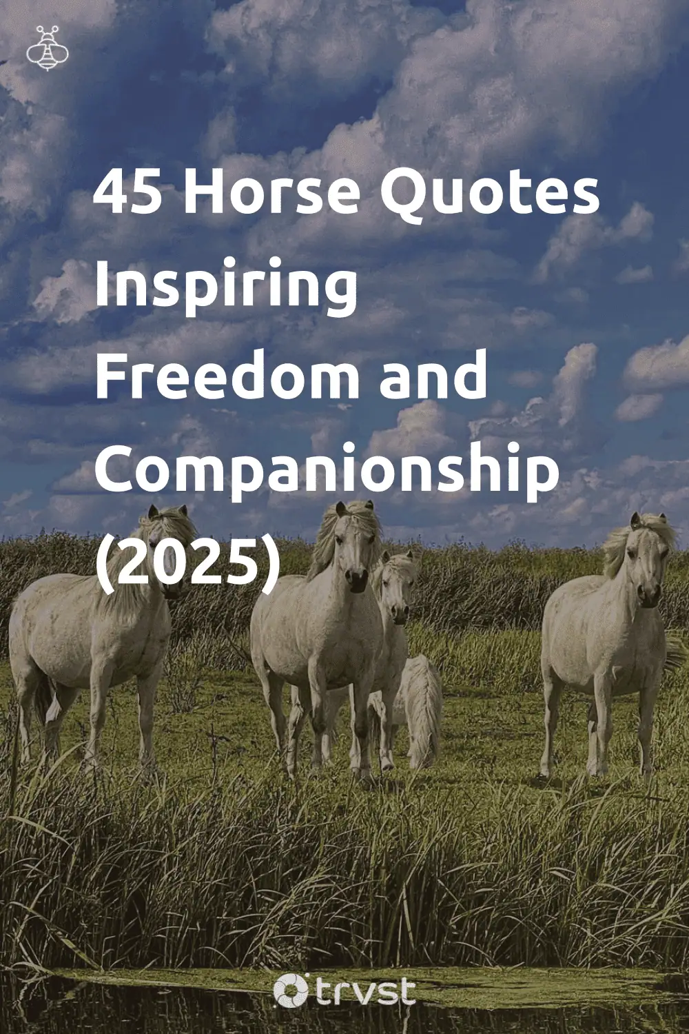 Pinterest Image for 45 Horse Quotes Inspiring Freedom and Companionship (2025)
